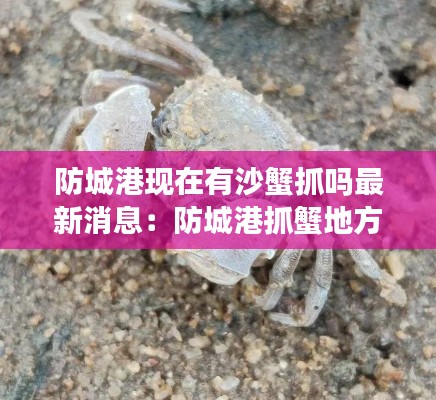 防城港现在有沙蟹抓吗最新消息：防城港抓蟹地方 