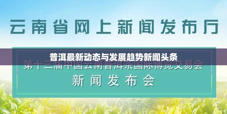 普洱最新动态与发展趋势新闻头条