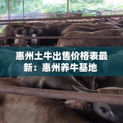 久别重逢 第2页