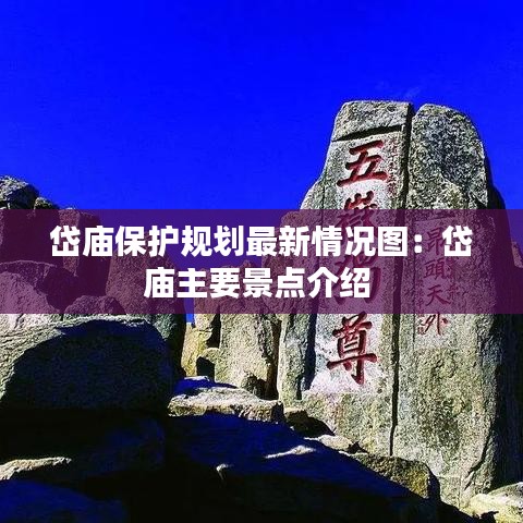 雍容华贵 第3页