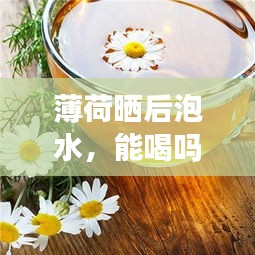 夯雀儿先飞 第3页
