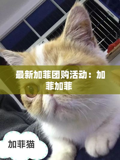 百不获一 第2页