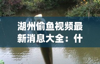 湖州偷鱼视频最新消息大全：什么叫失地农民 