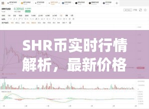 SHR币实时行情解析，最新价格、市场走势与投资者情绪洞察