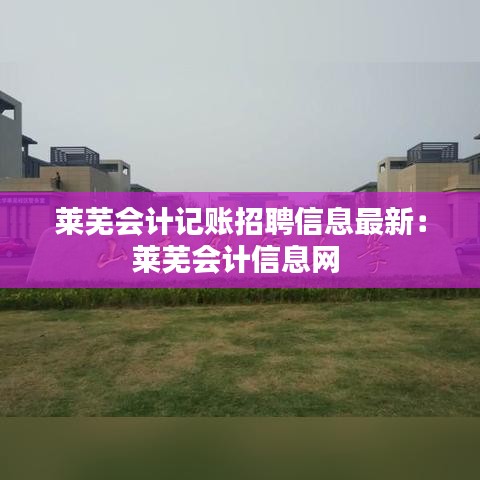 莱芜会计记账招聘信息最新：莱芜会计信息网 