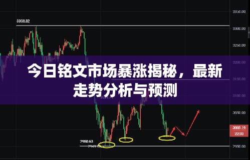物离乡贵 第2页