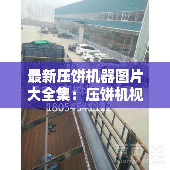 不求甚解 第3页