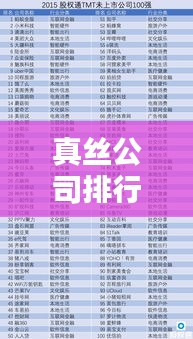 真丝公司排行榜及行业影响力分析