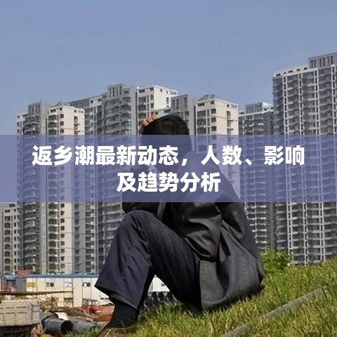 返乡潮最新动态，人数、影响及趋势分析