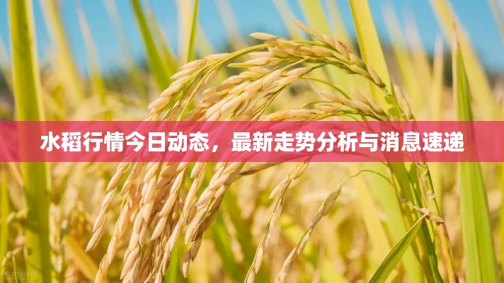 普度众生 第2页