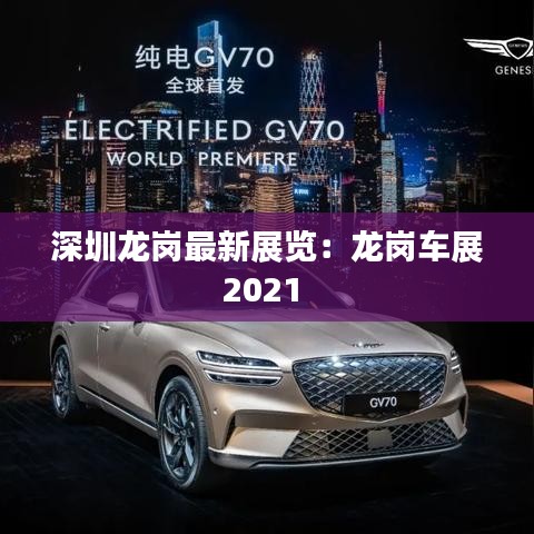 深圳龙岗最新展览：龙岗车展2021 