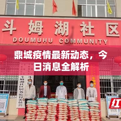 鼎城疫情最新动态，今日消息全解析