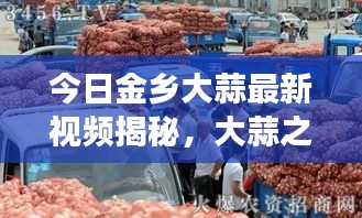 今日金乡大蒜最新视频揭秘，大蒜之乡的繁荣与变迁，探寻大蒜产业的蓬勃发展之路