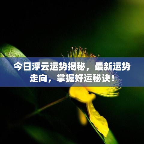 今日浮云运势揭秘，最新运势走向，掌握好运秘诀！