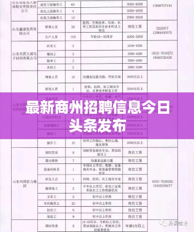 倦鸟思归 第2页