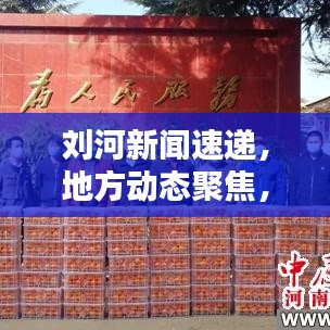 刘河新闻速递，地方动态聚焦，最新信息传递