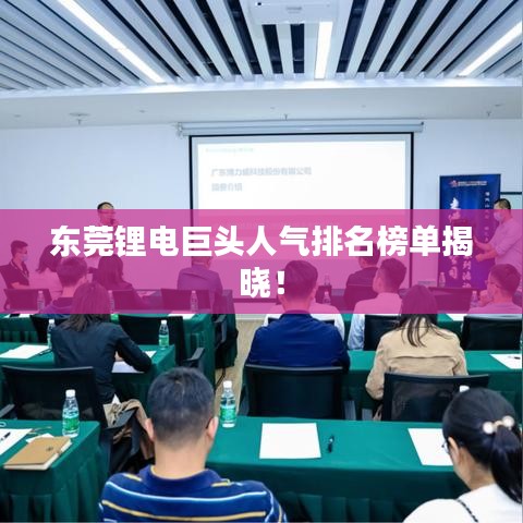 东莞锂电巨头人气排名榜单揭晓！