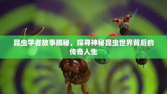 令行禁止 第2页