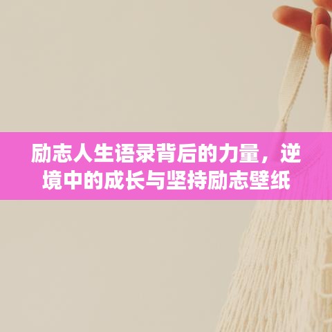 云屯鸟散 第3页