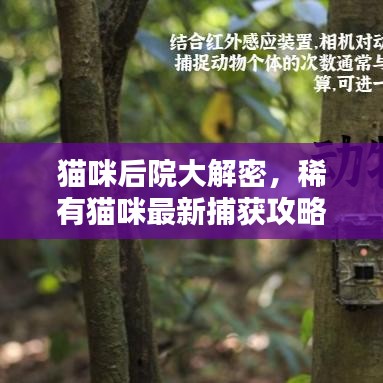 量入为出 第3页