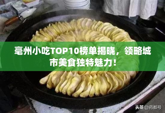 寒蝉僵鸟 第2页