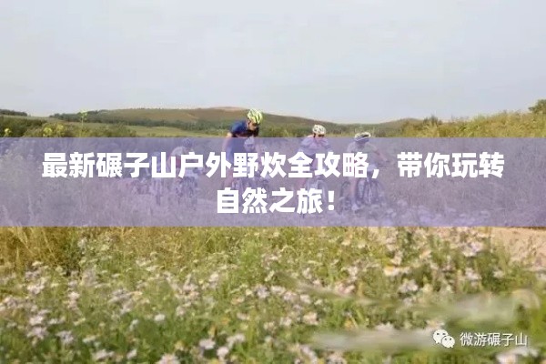 还淳反素 第2页