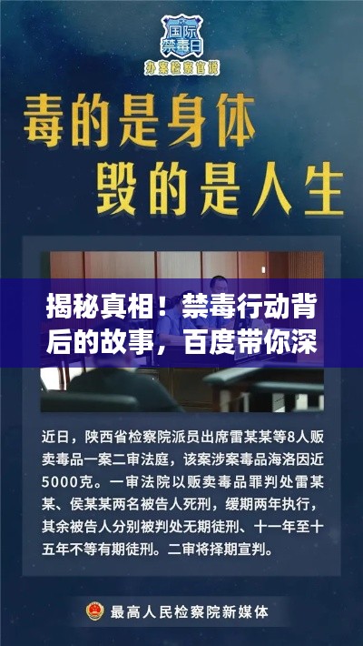 揭秘真相！禁毒行动背后的故事，百度带你深入了解