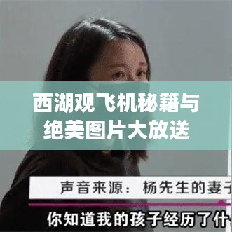西湖观飞机秘籍与绝美图片大放送