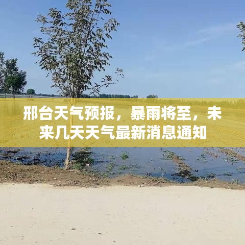 撺哄鸟乱 第2页
