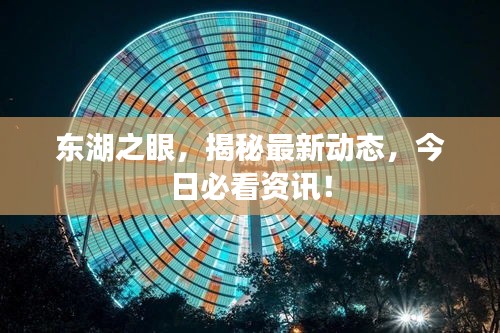 东湖之眼，揭秘最新动态，今日必看资讯！