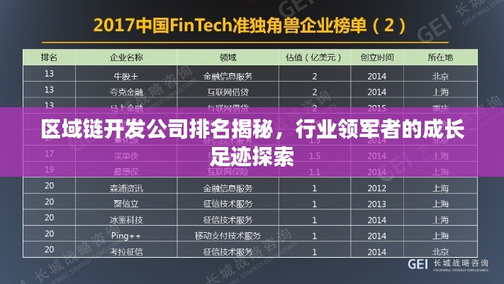 区域链开发公司排名揭秘，行业领军者的成长足迹探索