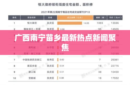 广西南宁苗乡最新热点新闻聚焦