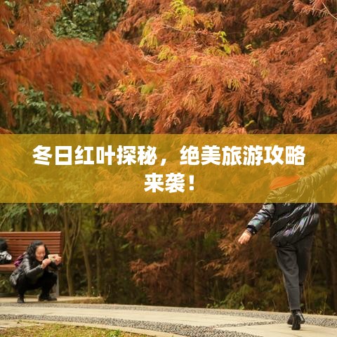 异口同声 第3页