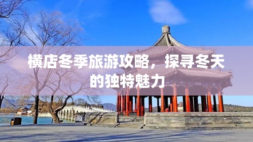 雍容雅步 第3页