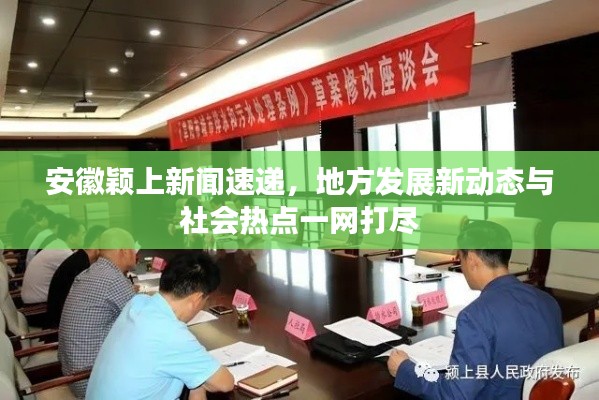 安徽颖上新闻速递，地方发展新动态与社会热点一网打尽