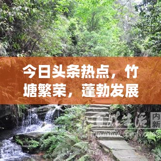 今日头条热点，竹塘繁荣，蓬勃发展新篇章