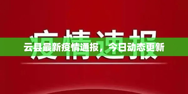 云县最新疫情通报，今日动态更新