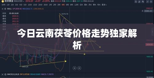 刻画入微 第2页
