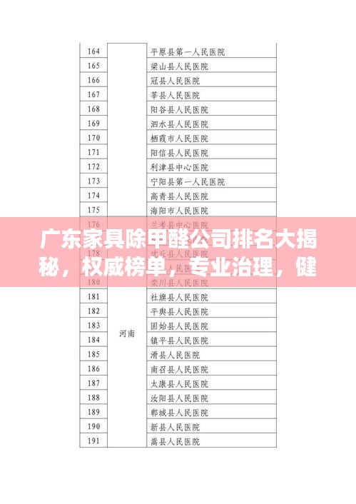 广东家具除甲醛公司排名大揭秘，权威榜单，专业治理，健康家居首选！