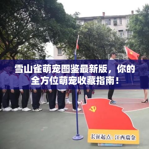 雪山雀萌宠图鉴最新版，你的全方位萌宠收藏指南！