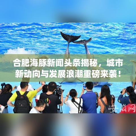 合肥海豚新闻头条揭秘，城市新动向与发展浪潮重磅来袭！