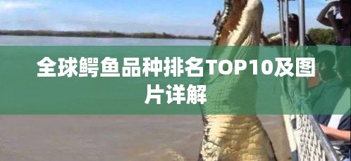 罗含梦鸟 第2页