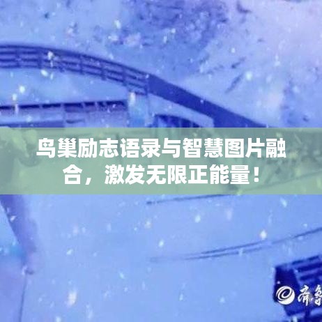 鸟巢励志语录与智慧图片融合，激发无限正能量！