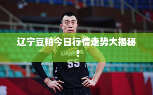 衣不重采 第3页