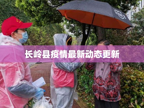 长岭县疫情最新动态更新