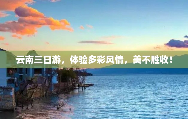 莺啼鸟啭 第2页