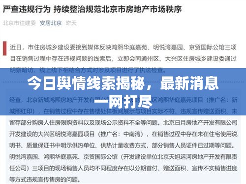 今日舆情线索揭秘，最新消息一网打尽