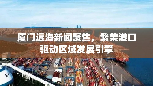 厦门远海新闻聚焦，繁荣港口驱动区域发展引擎