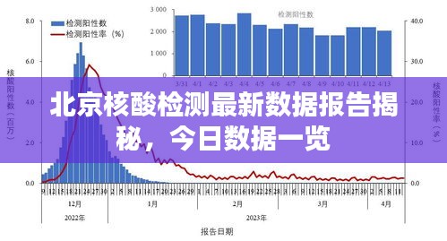 北京核酸检测最新数据报告揭秘，今日数据一览