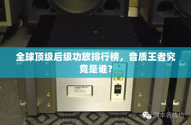 全球顶级后级功放排行榜，音质王者究竟是谁？